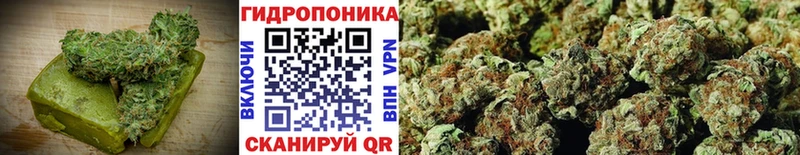 купить закладку  Среднеуральск  ссылка на мегу сайт  Canna-Cookies конопля 