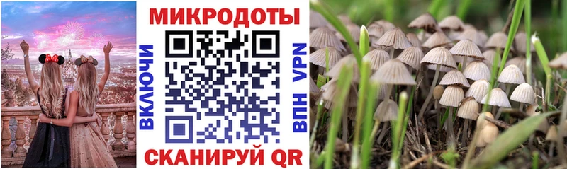 даркнет сайт  Среднеуральск  Галлюциногенные грибы Psilocybine cubensis 